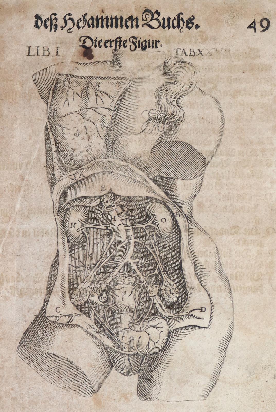 Bourgeois,L. | Bild Nr.2