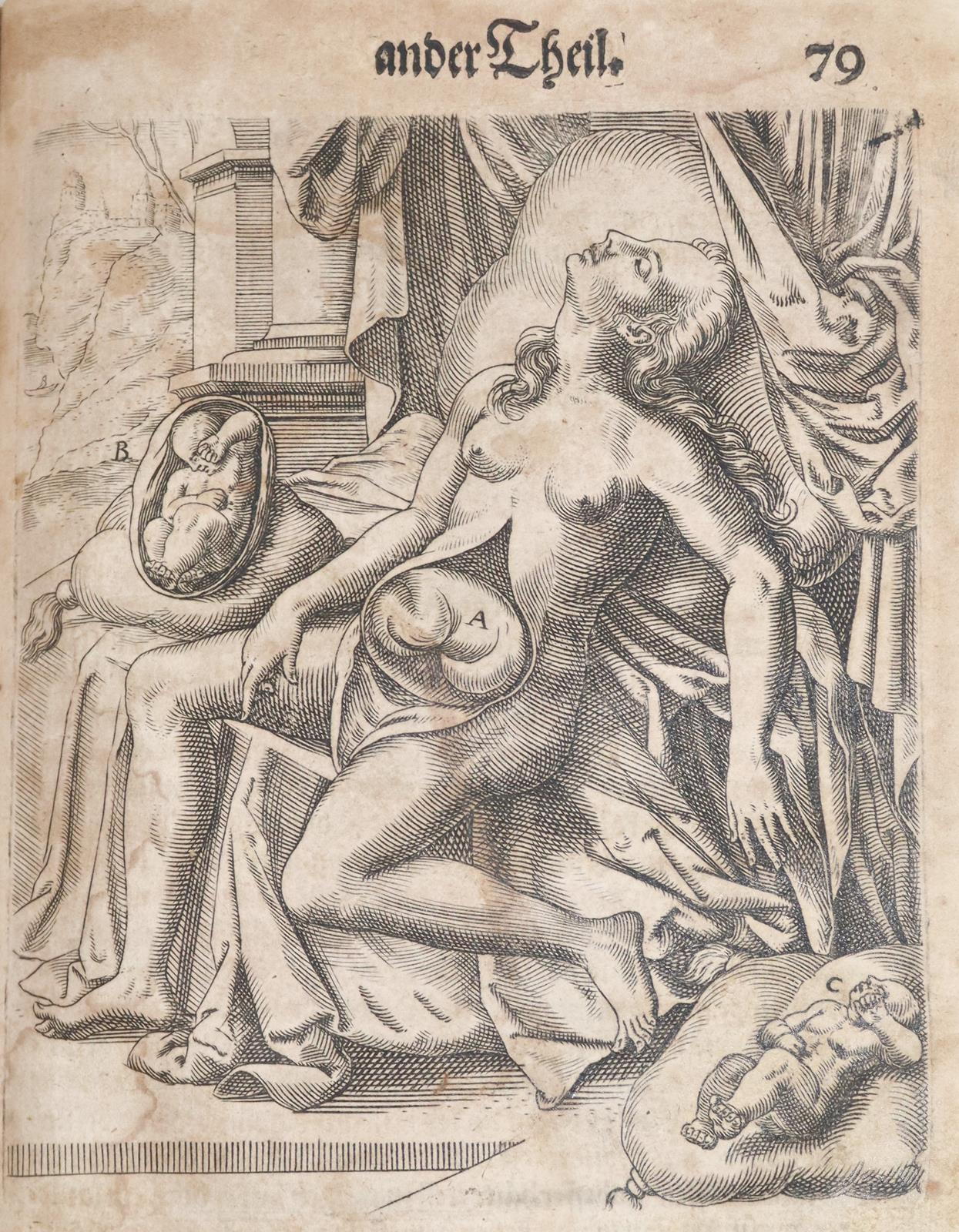 Bourgeois,L. | Bild Nr.3