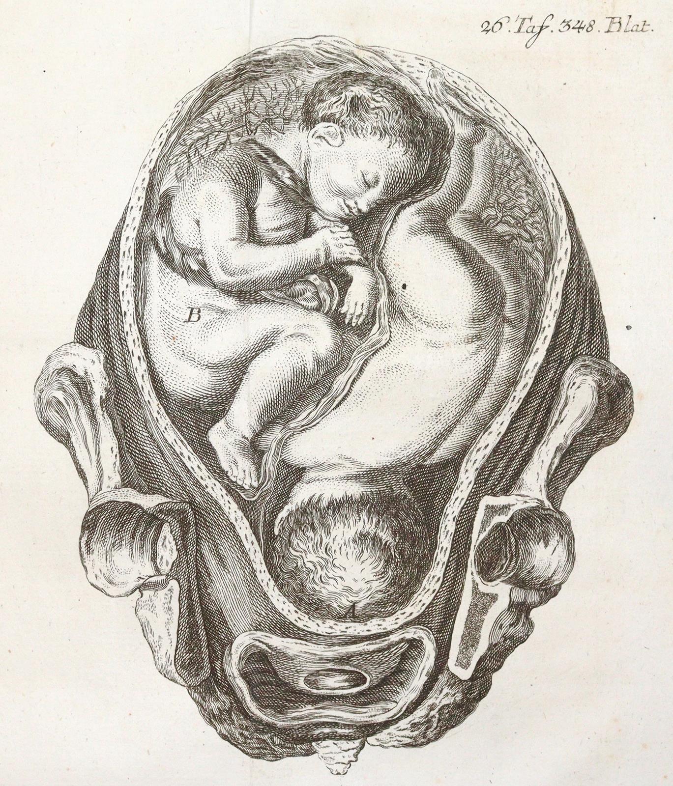 Steidele,R.J. | Bild Nr.1