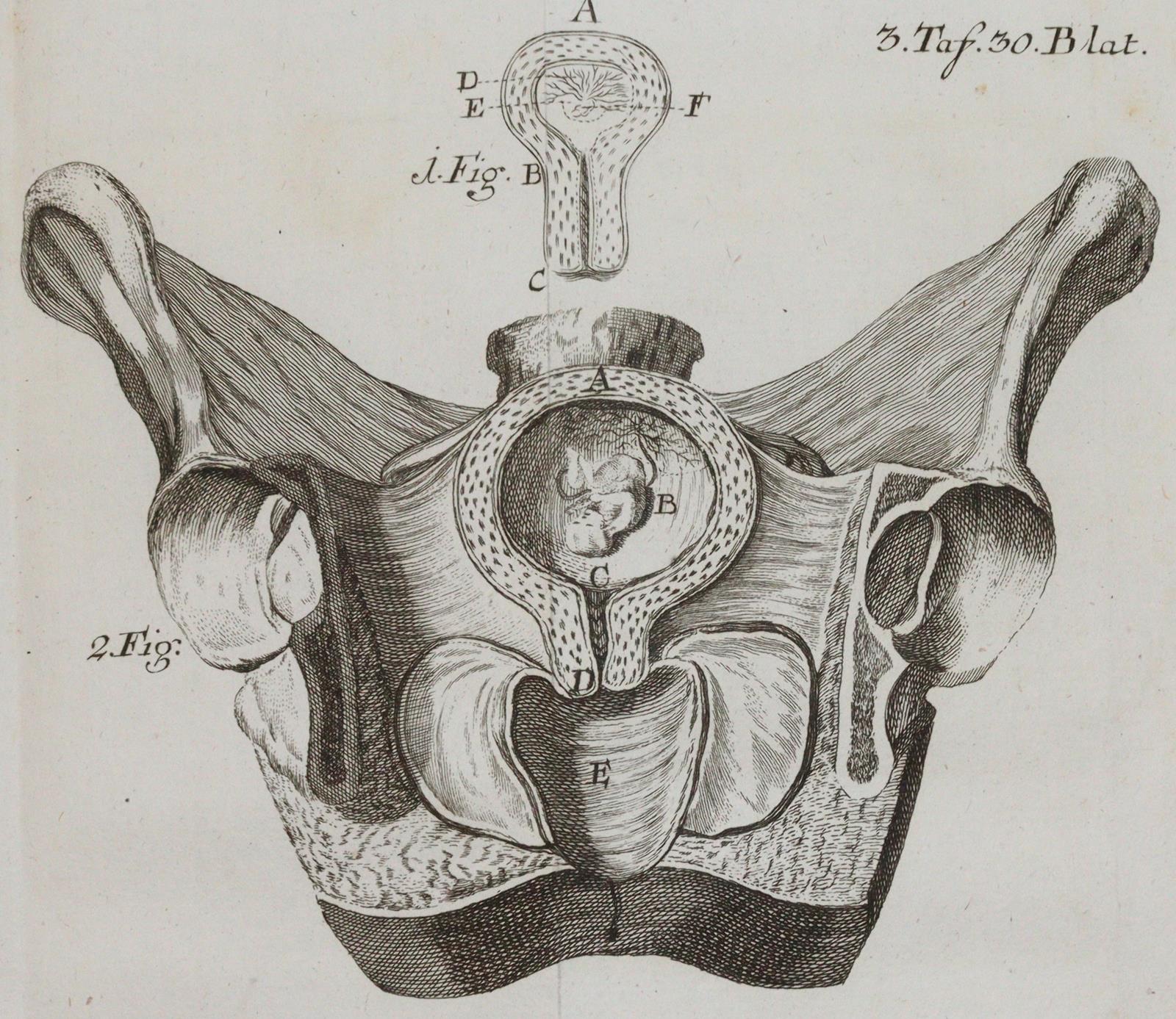 Steidele,R.J. | Bild Nr.3