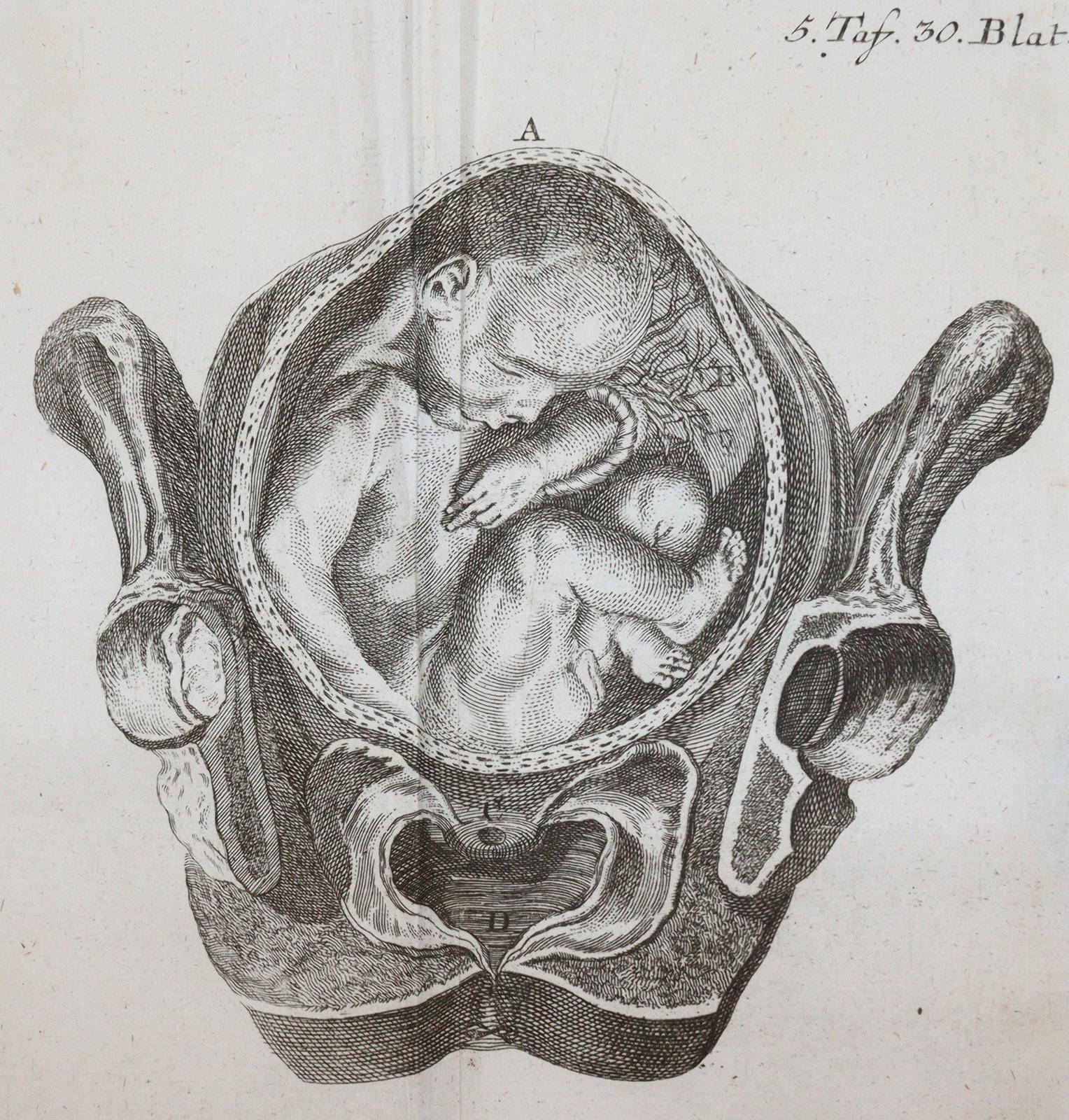 Steidele,R.J. | Bild Nr.5