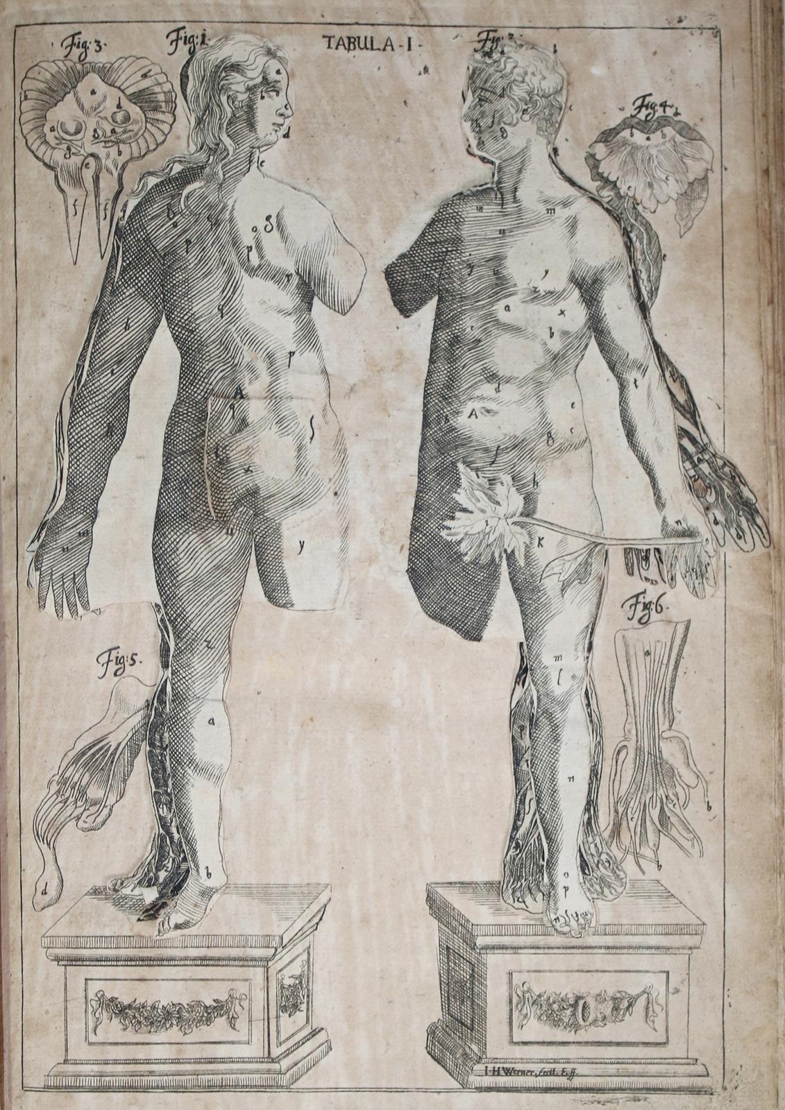 Hellwig,L.C. | Bild Nr.2