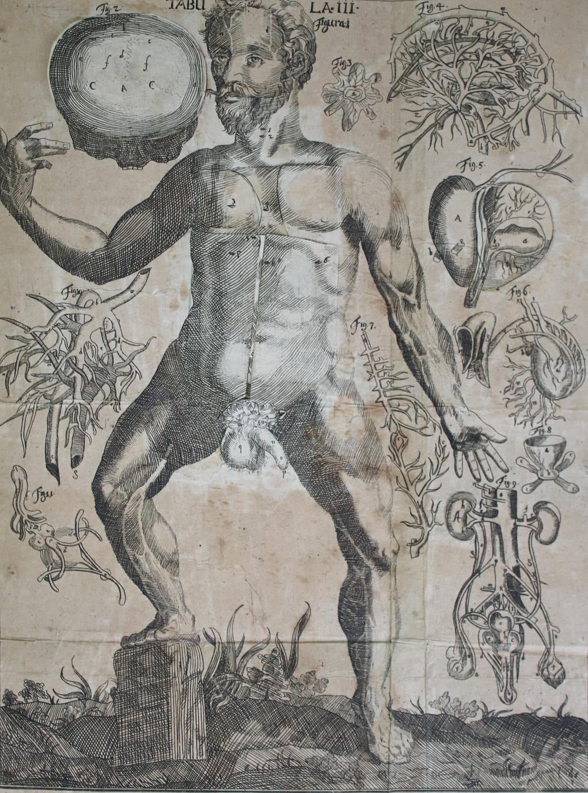 Hellwig,L.C. | Bild Nr.3