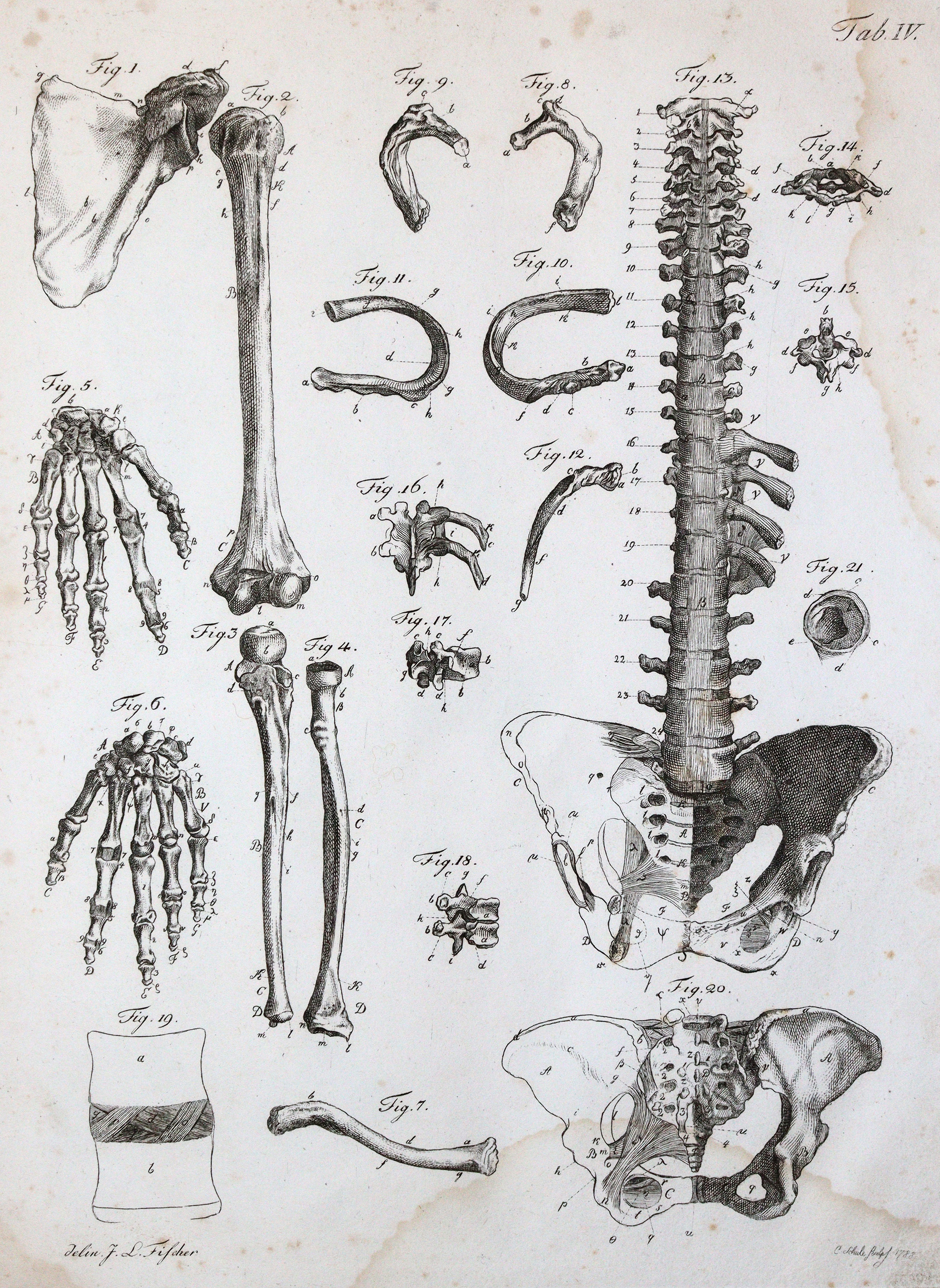 Kulmus,J.A. | Bild Nr.3