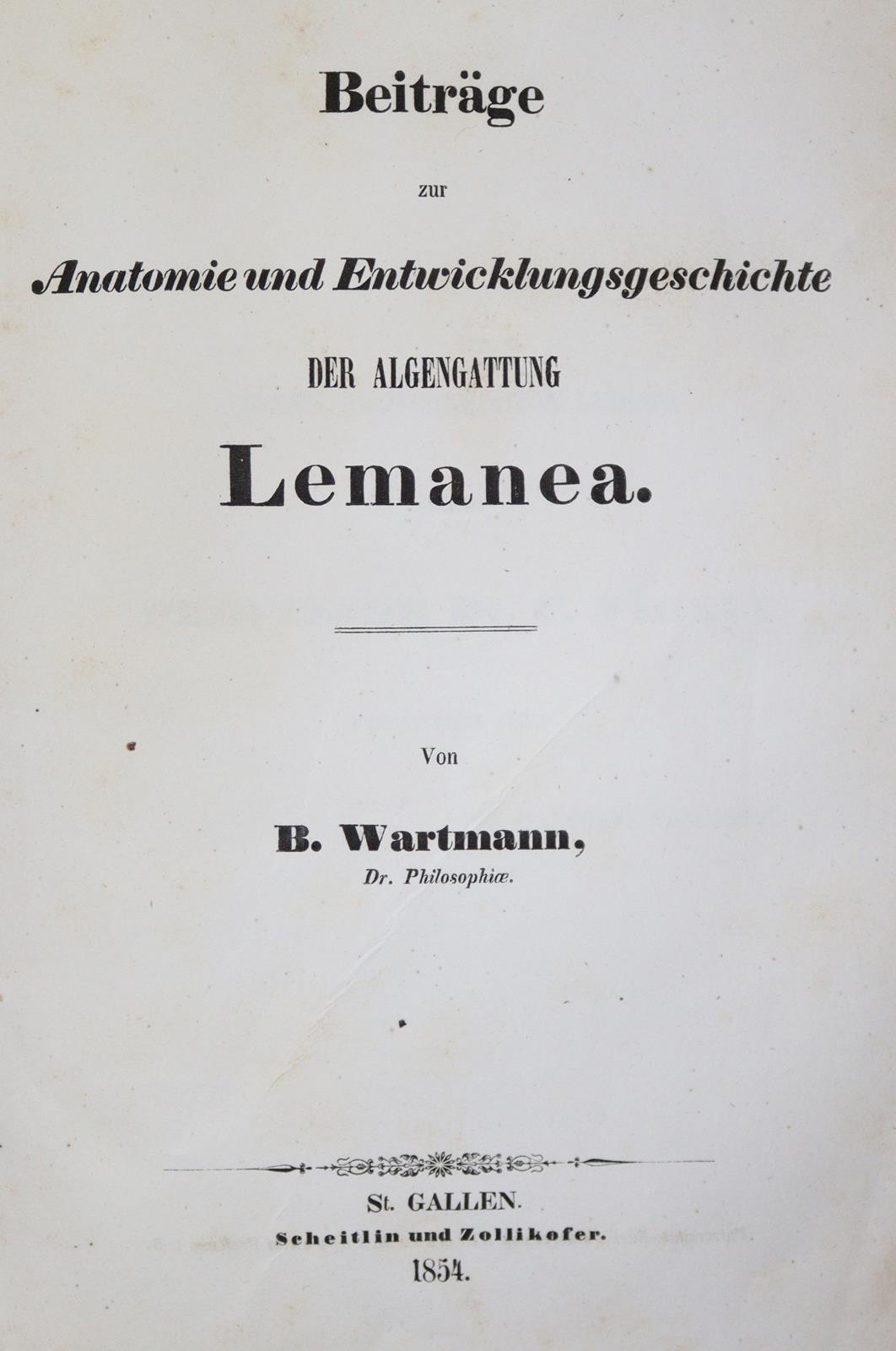 Lister,M. | Bild Nr.3