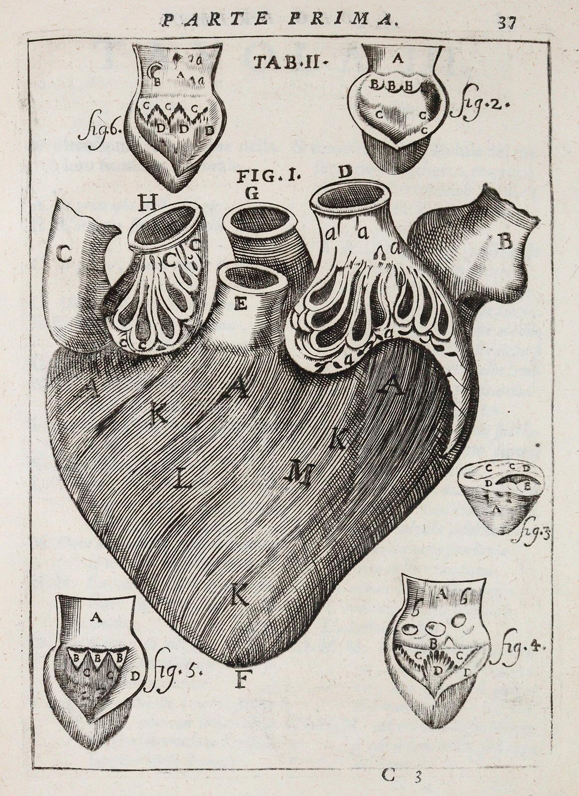 Pascoli,A. | Bild Nr.2