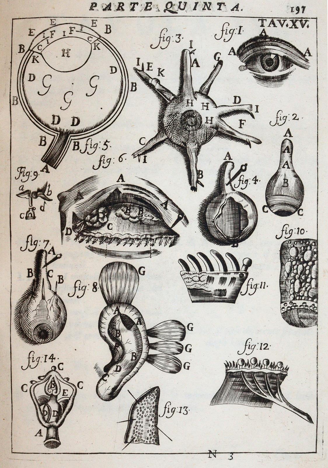 Pascoli,A. | Bild Nr.3