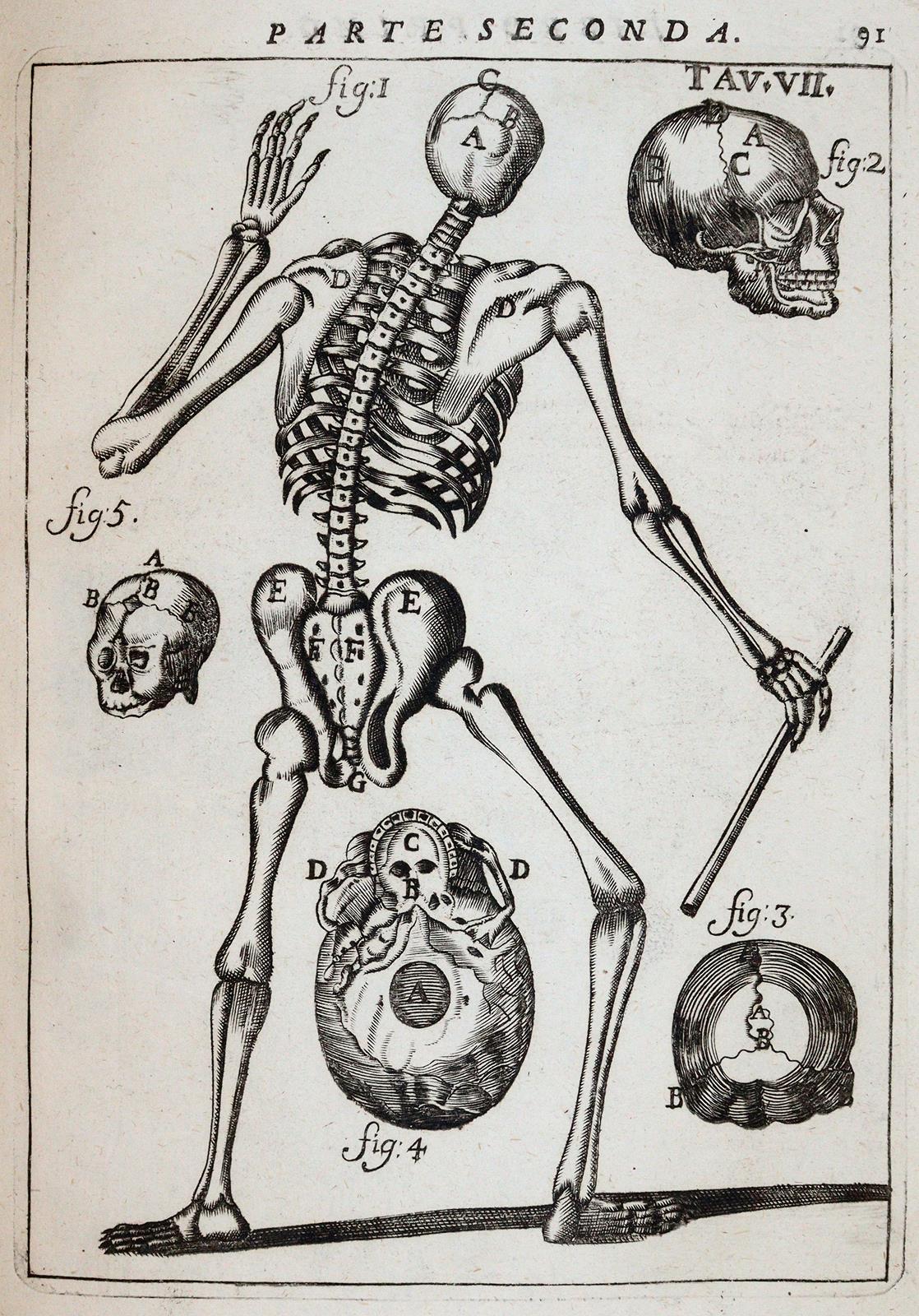 Pascoli,A. | Bild Nr.4