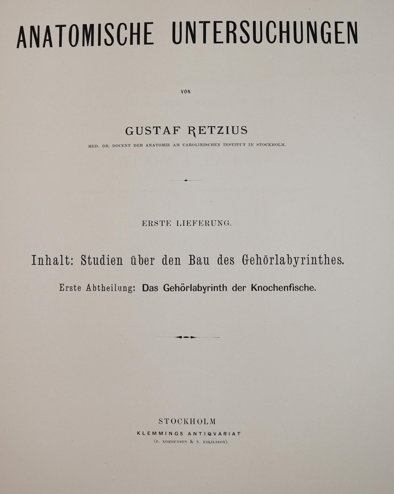 Retzius,G. | Bild Nr.2