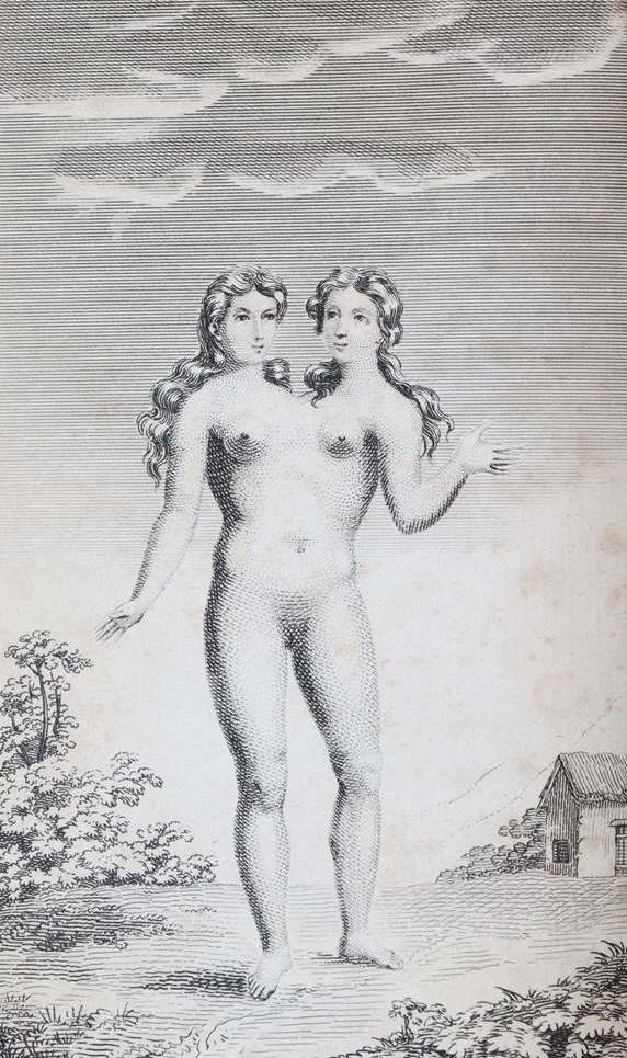 Sharp,S. | Bild Nr.2