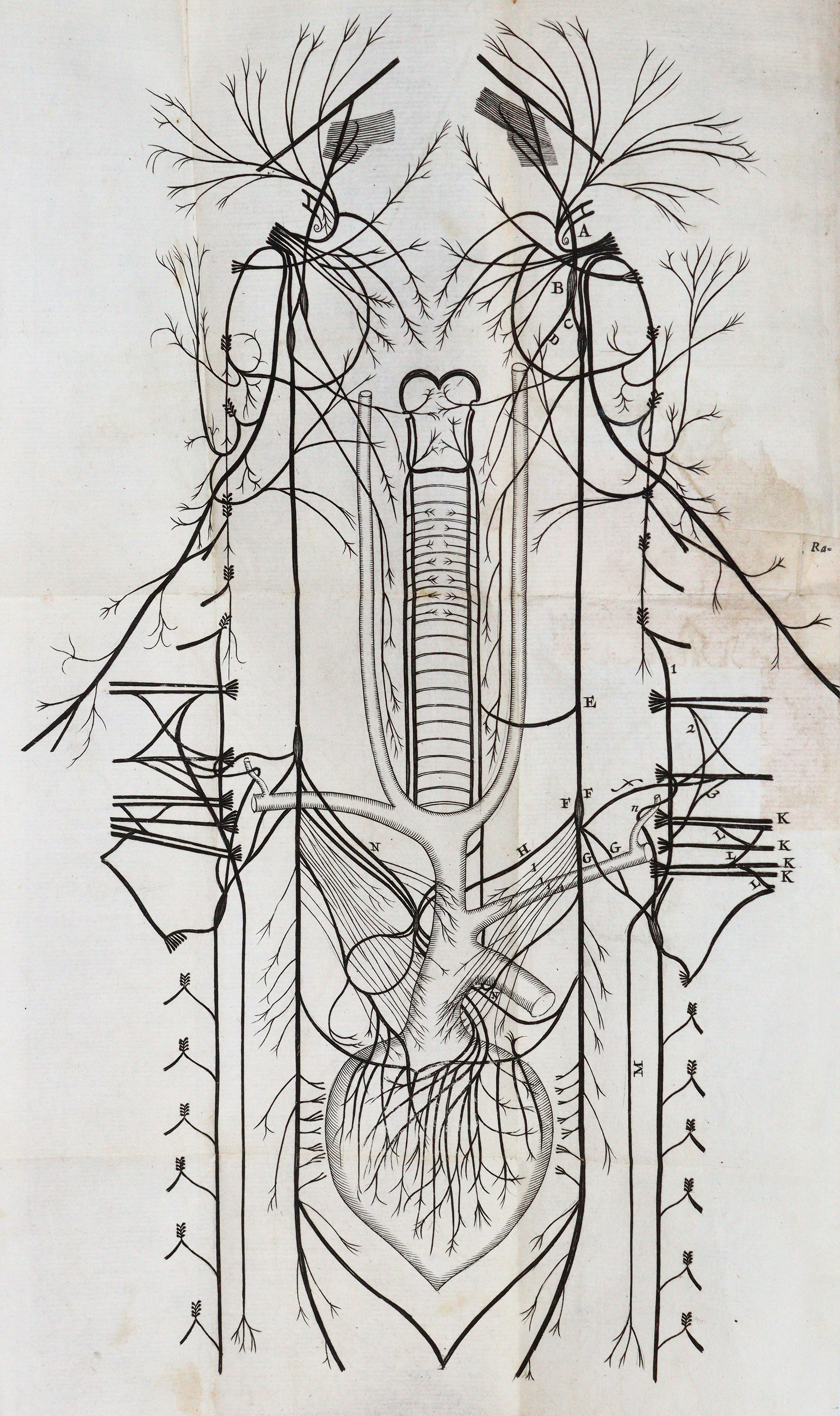 Willis,T. | Bild Nr.4
