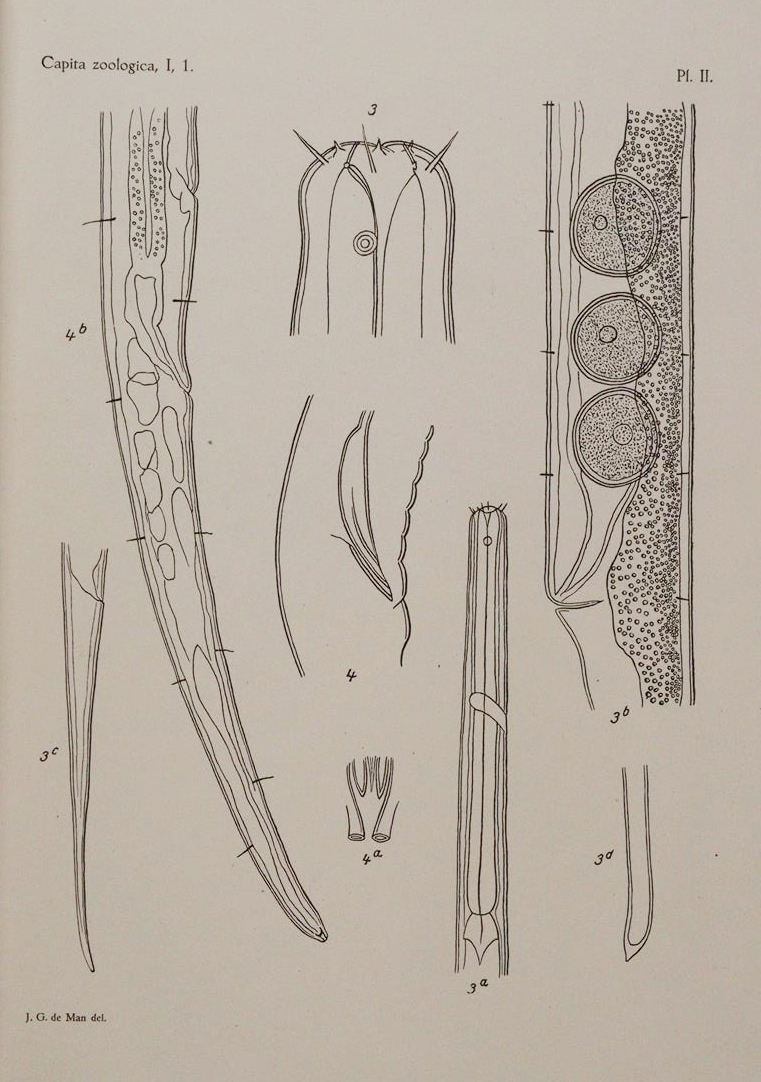 Beaufort,L.F.de. u.a. | Bild Nr.2