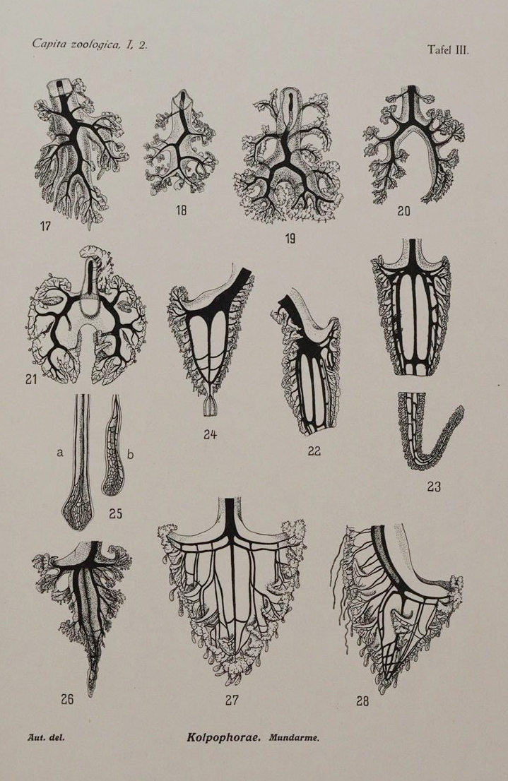 Beaufort,L.F.de. u.a. | Bild Nr.4