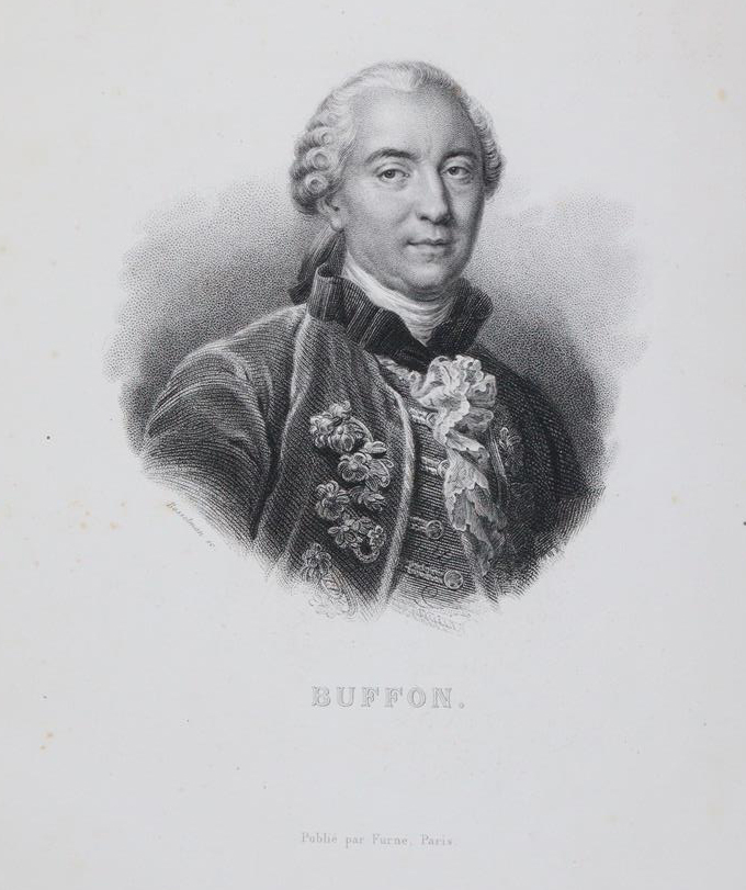 Buffon,G.L.L. | Bild Nr.2