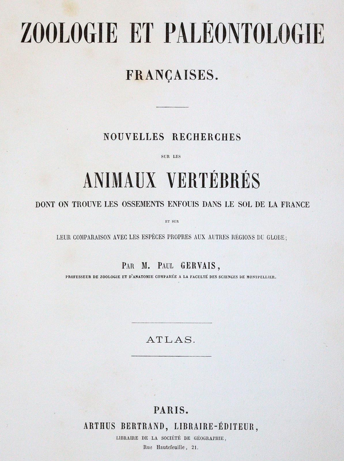 Gervais,(F.L.)P. | Bild Nr.1