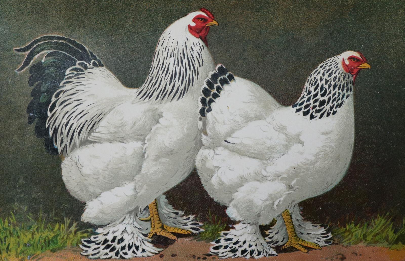 Kramer,R. | Bild Nr.1