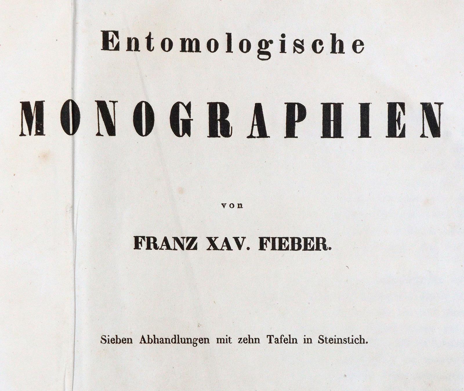 Fieber,F.X. | Bild Nr.1