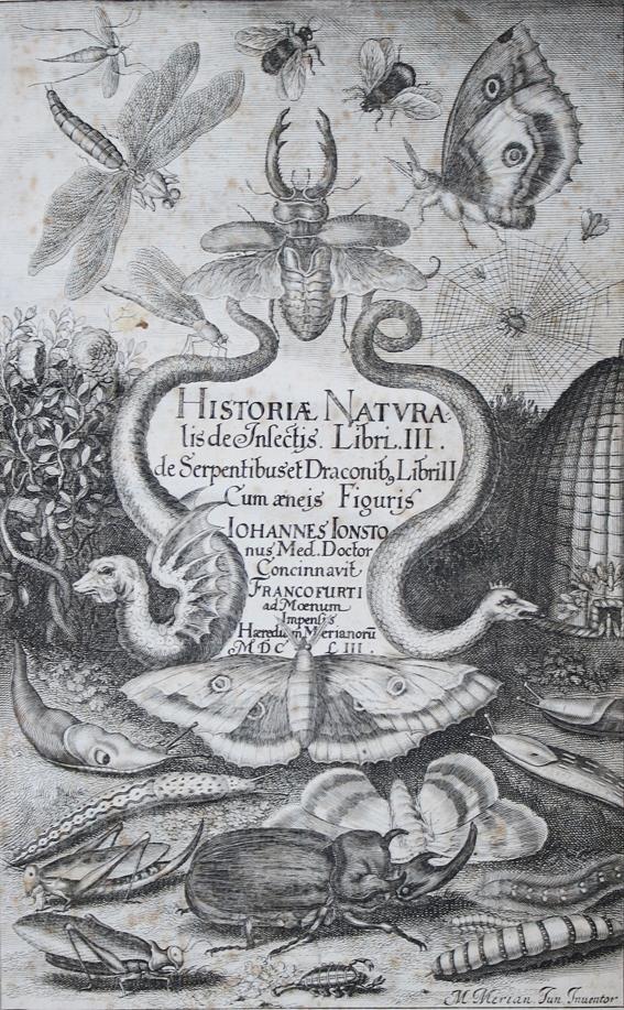 Jonston,J. | Bild Nr.1