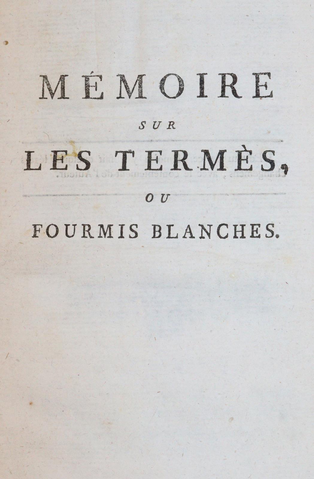 Smeathman,H. | Bild Nr.1