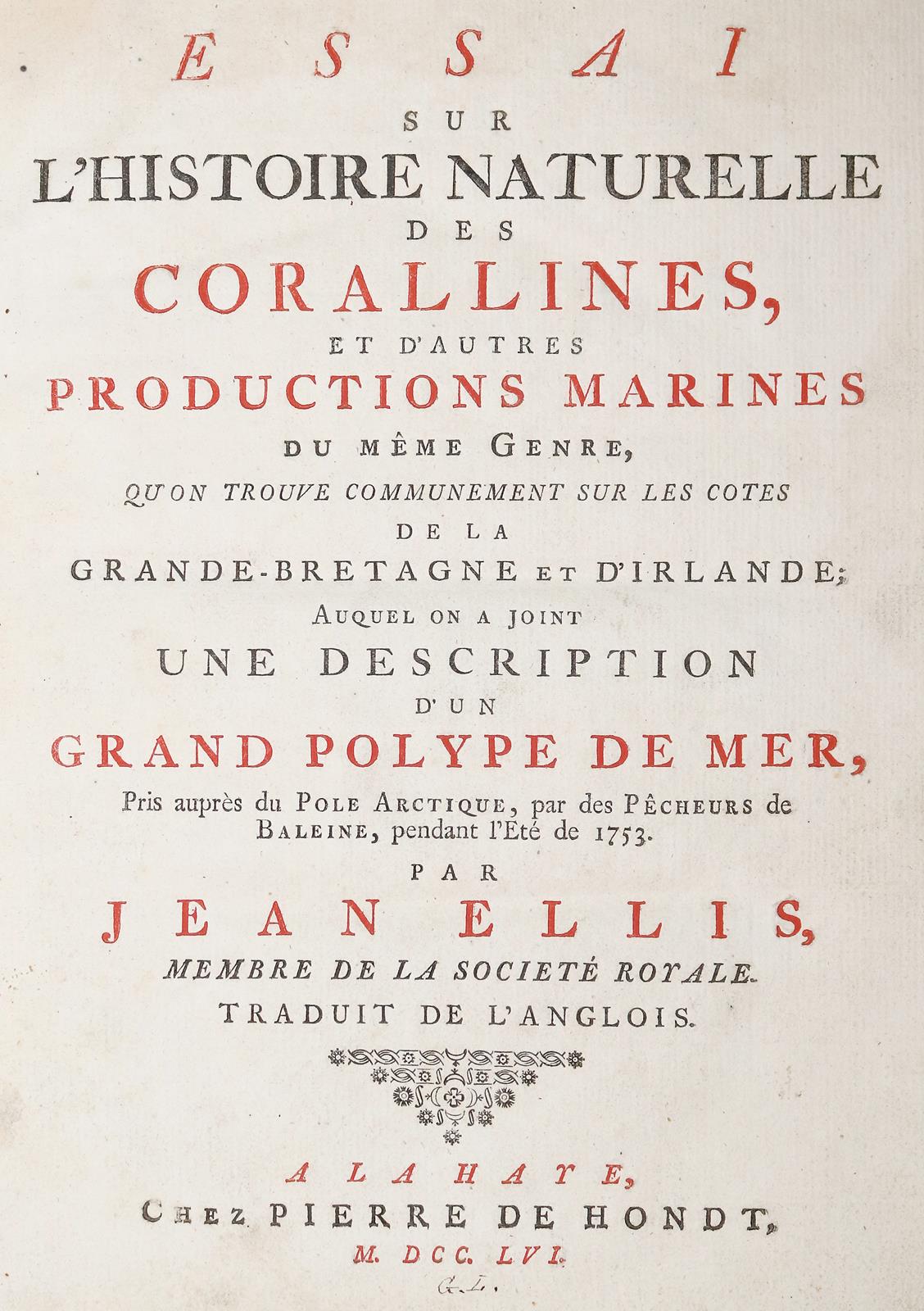 Ellis,J. | Bild Nr.1