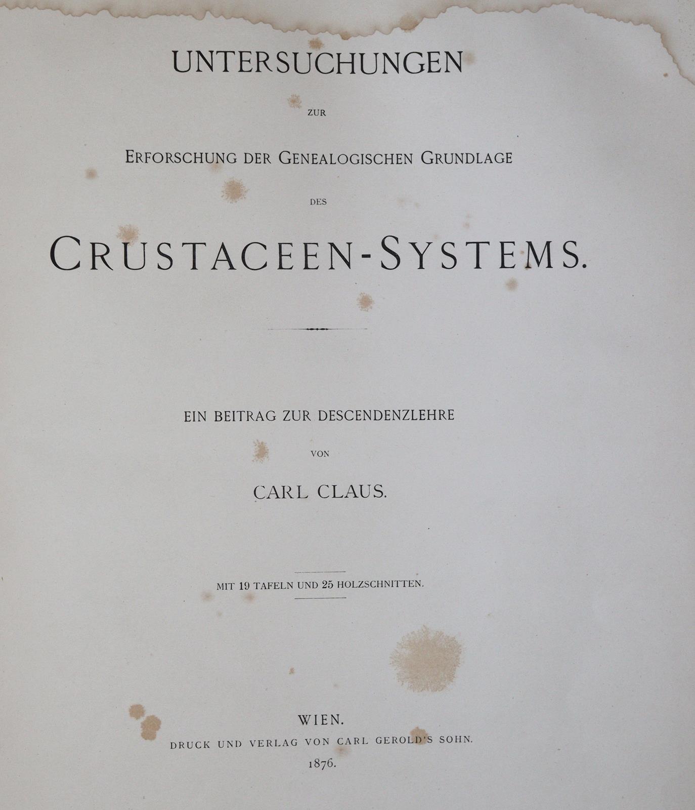 Claus,C. | Bild Nr.3