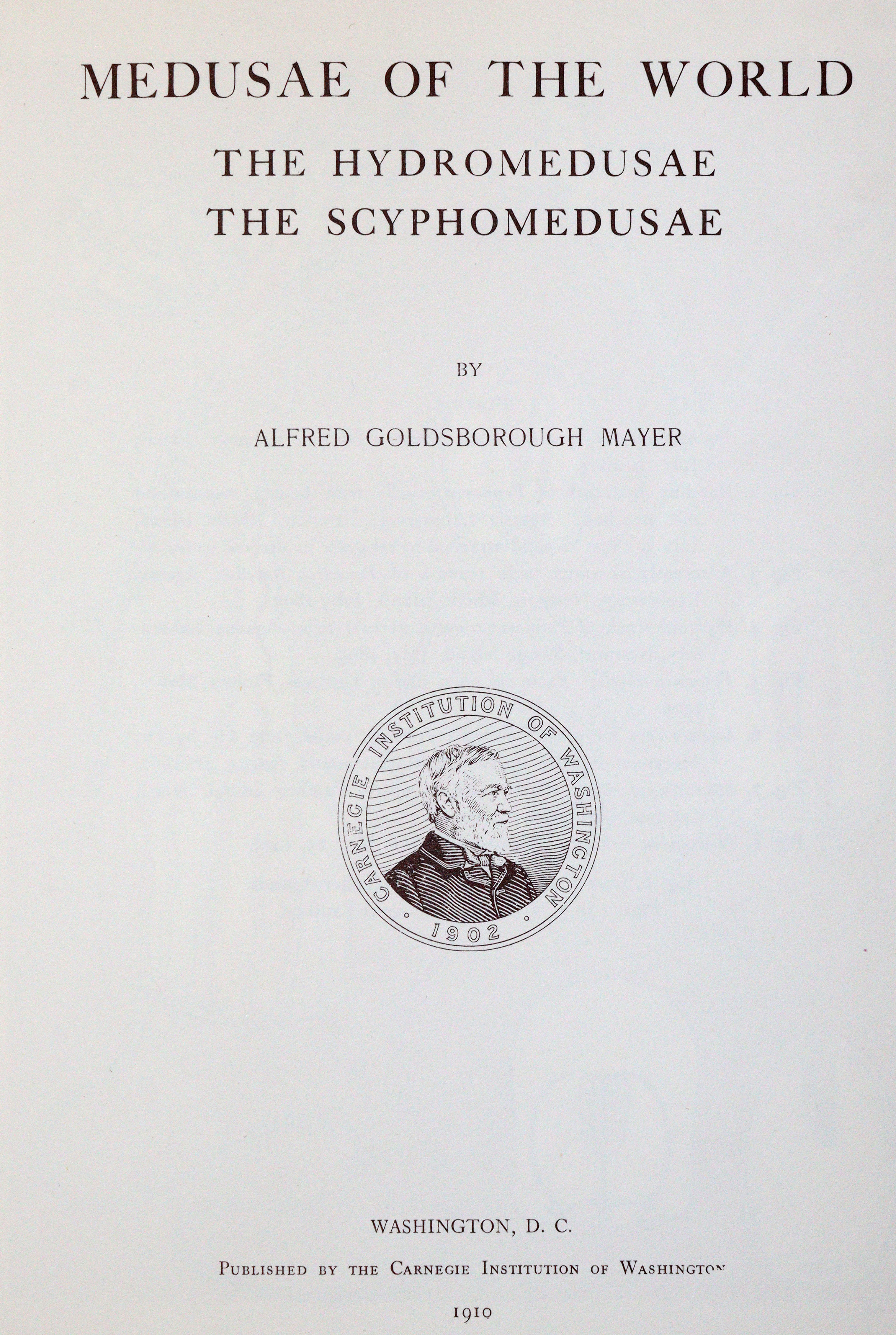 Mayer,A.G. | Bild Nr.1