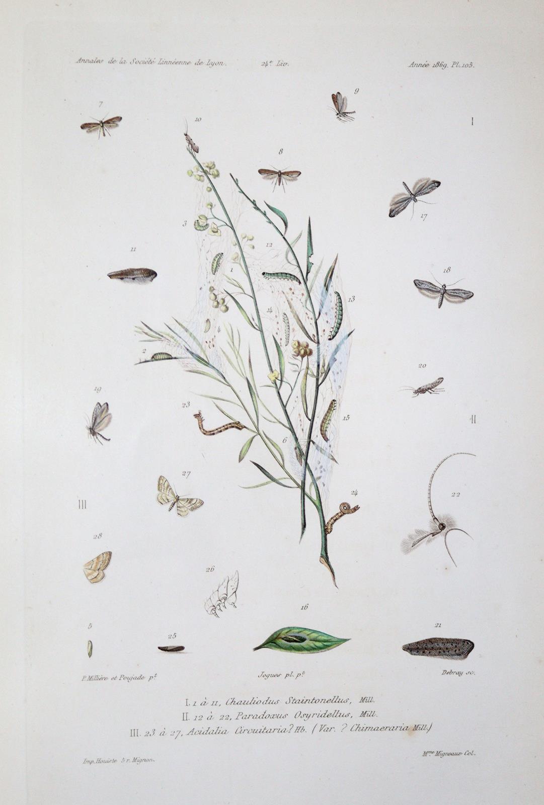 Milliere,P. | Bild Nr.4