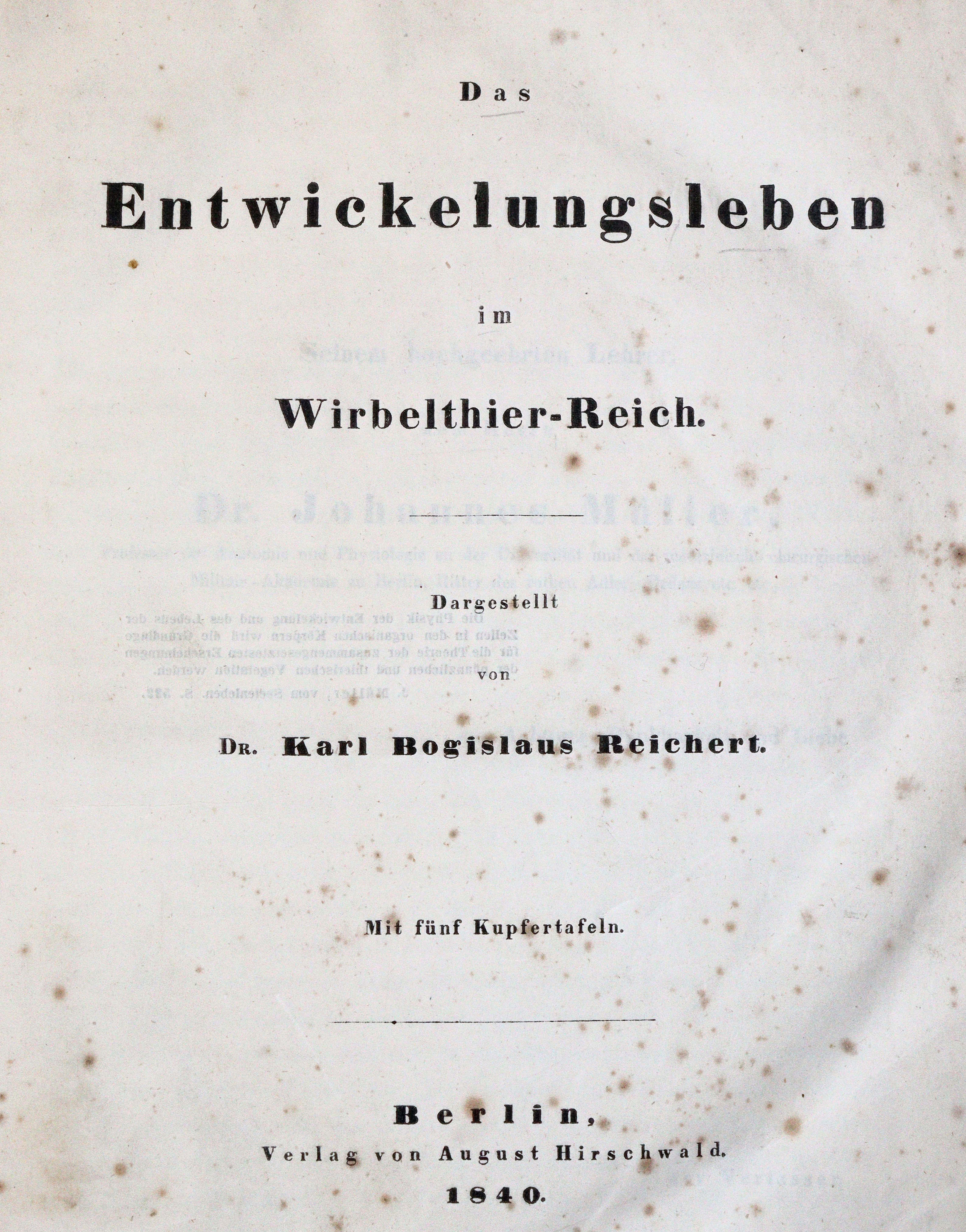 Reichert,K.B. | Bild Nr.1