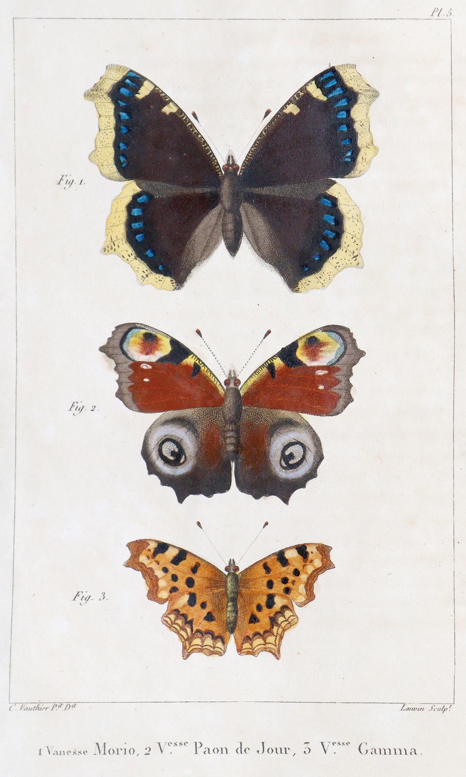 Godart,J. u. P.Duponchel. | Bild Nr.1