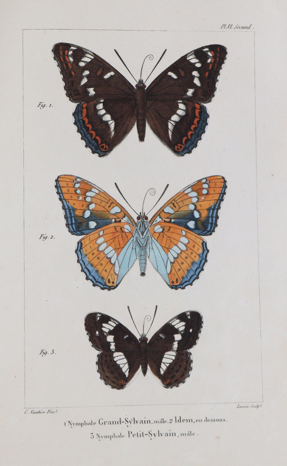 Godart,J. u. P.Duponchel. | Bild Nr.4