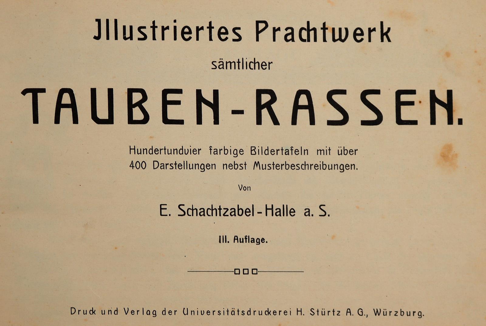 Schachtzabel,E. | Bild Nr.1