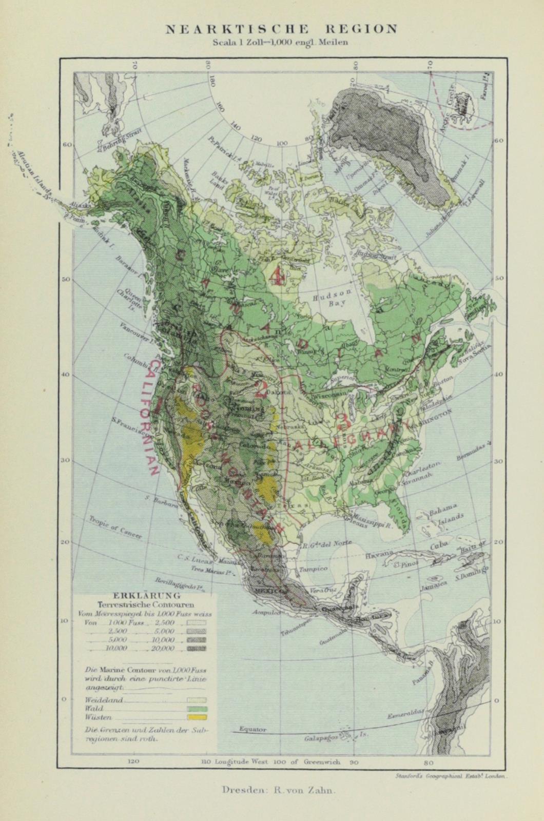 Wallace,A.R. | Bild Nr.6