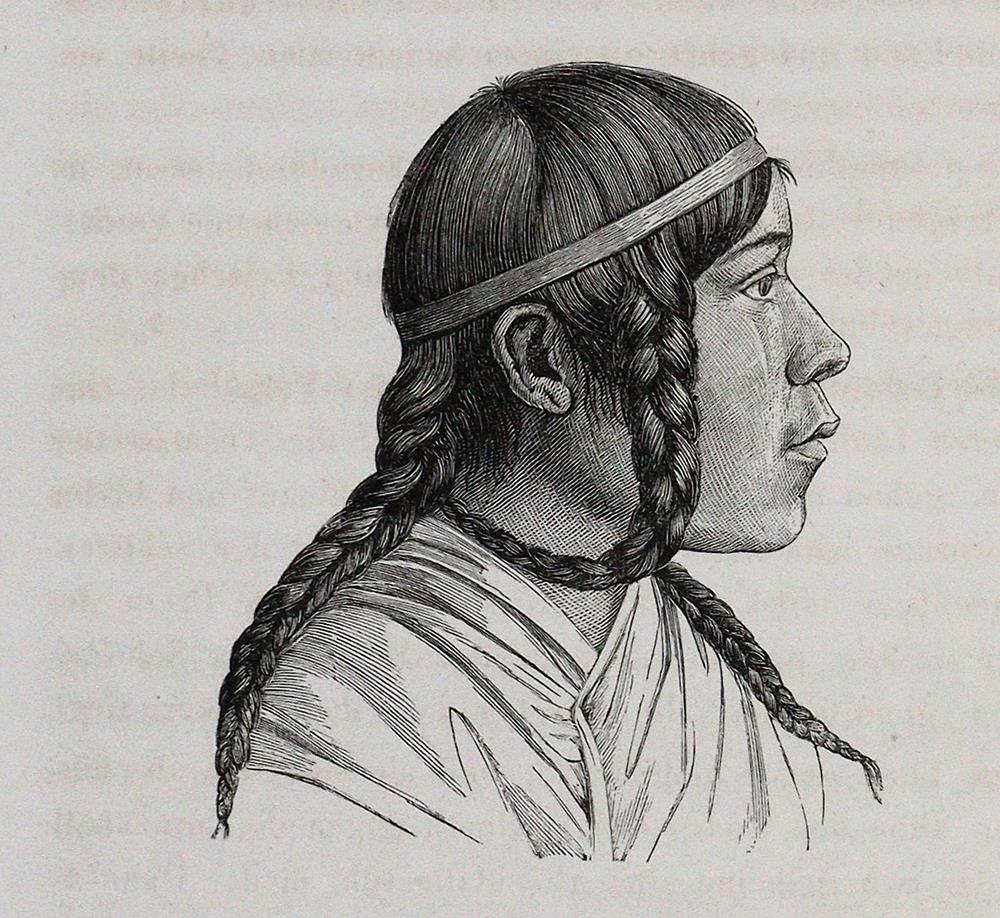 Retzius,A. | Bild Nr.2