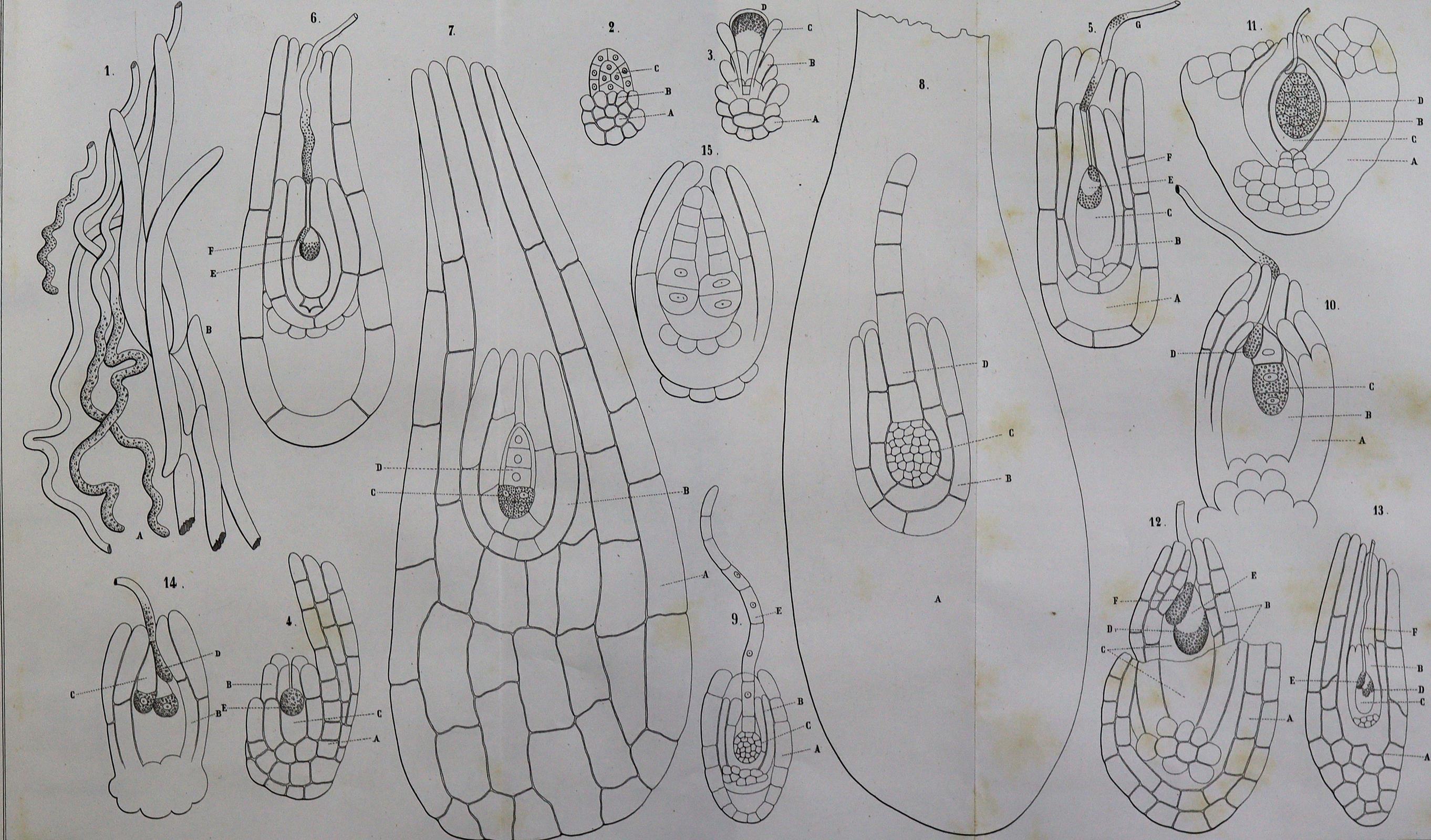 Atti della Riunione | Bild Nr.1