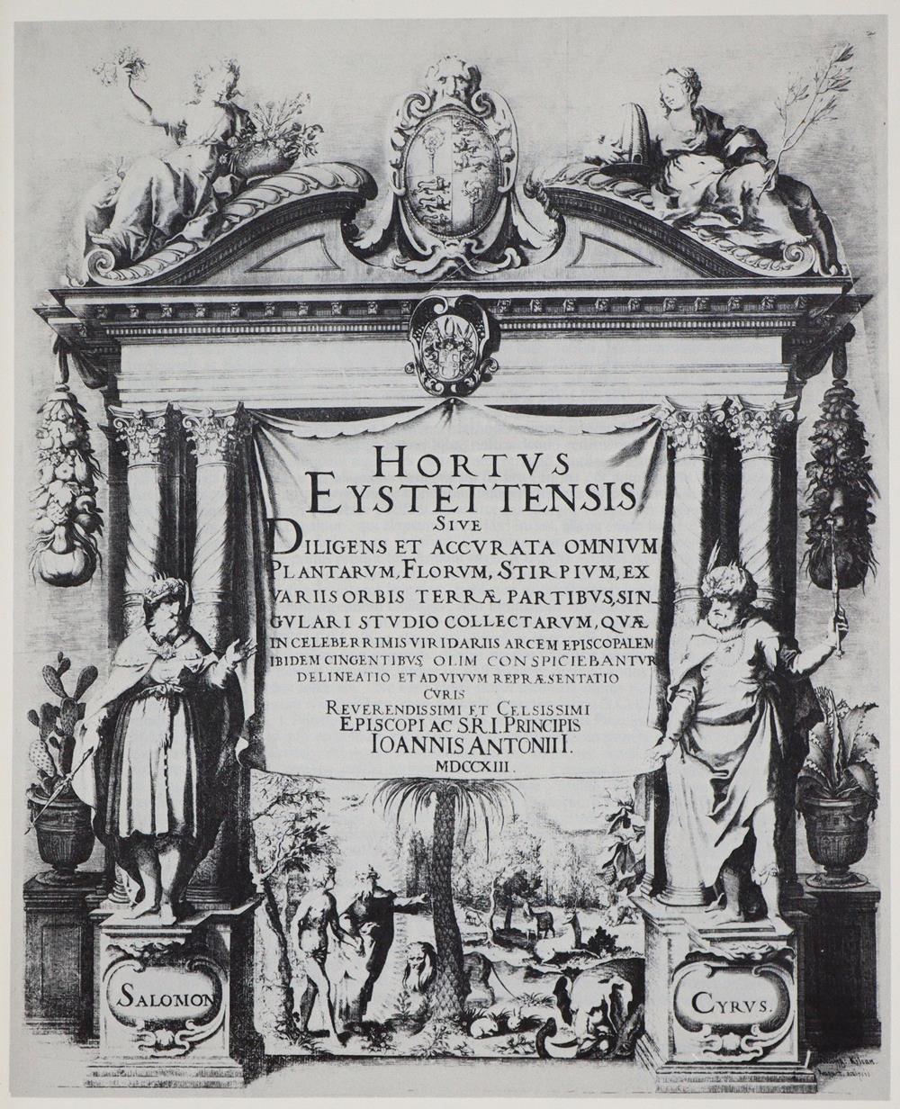 Besler,B. | Bild Nr.5