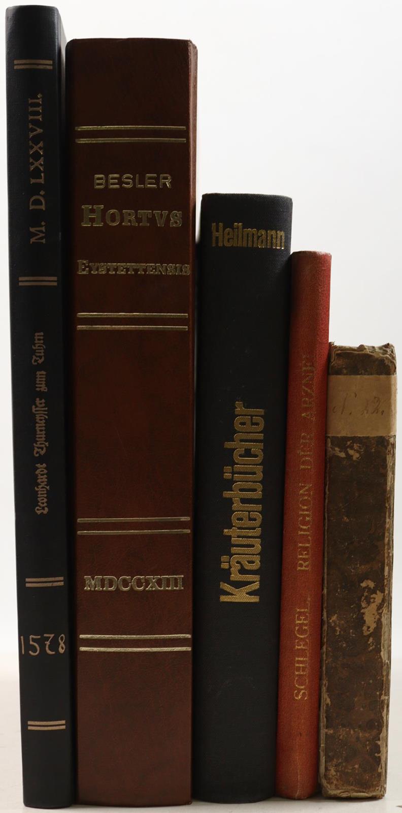 Besler,B. | Bild Nr.6