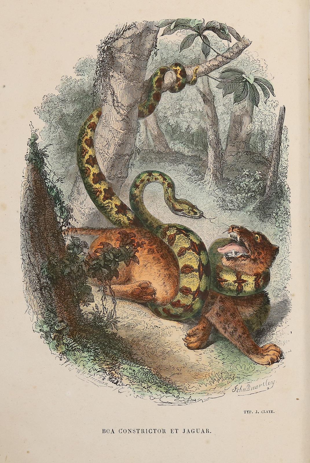 Blanchard,P. | Bild Nr.1