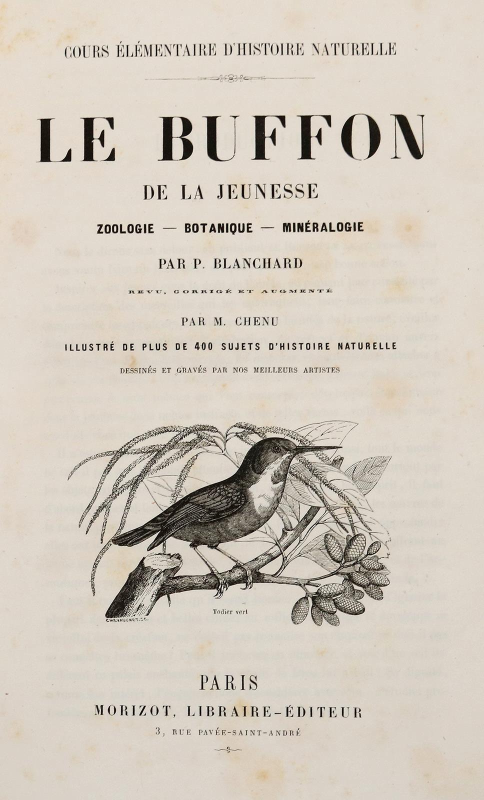 Blanchard,P. | Bild Nr.2