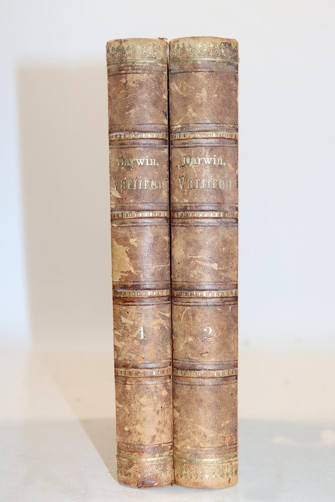 Darwin,C. | Bild Nr.3