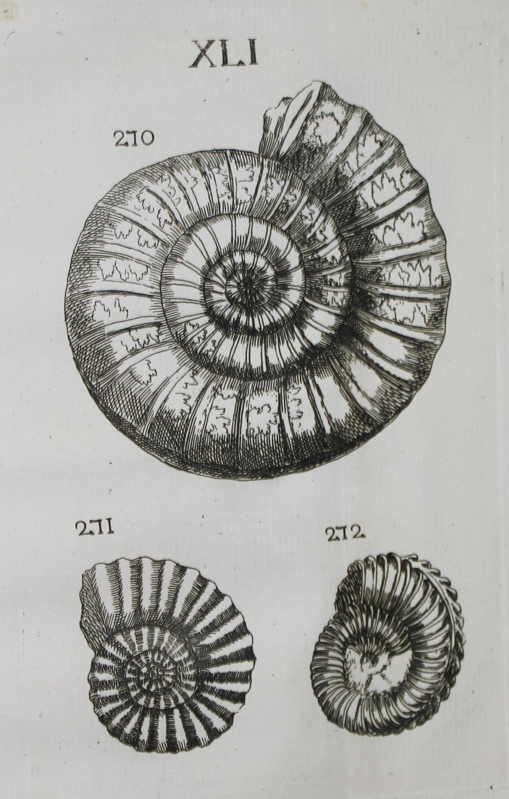 Bourget,L. | Bild Nr.2