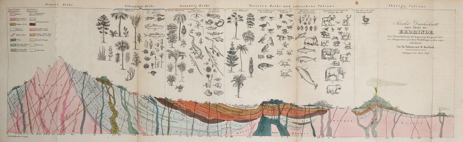 Buckland,W. | Bild Nr.2