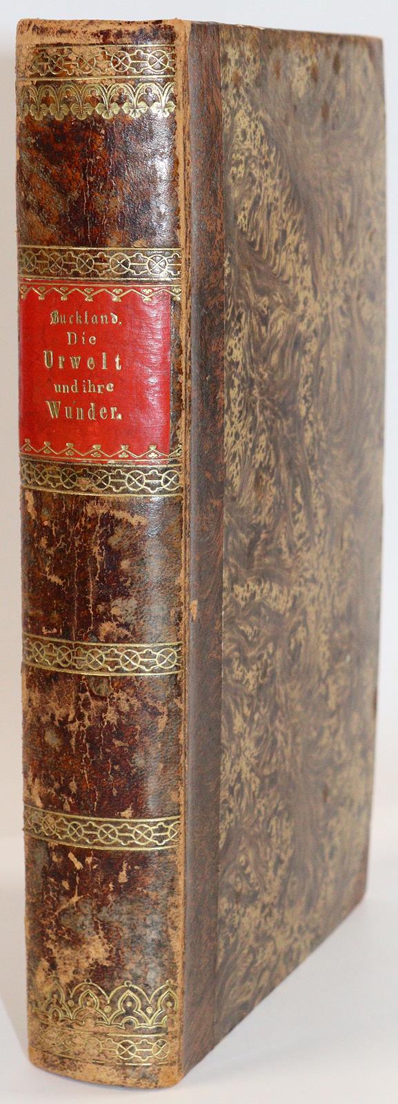 Buckland,W. | Bild Nr.4