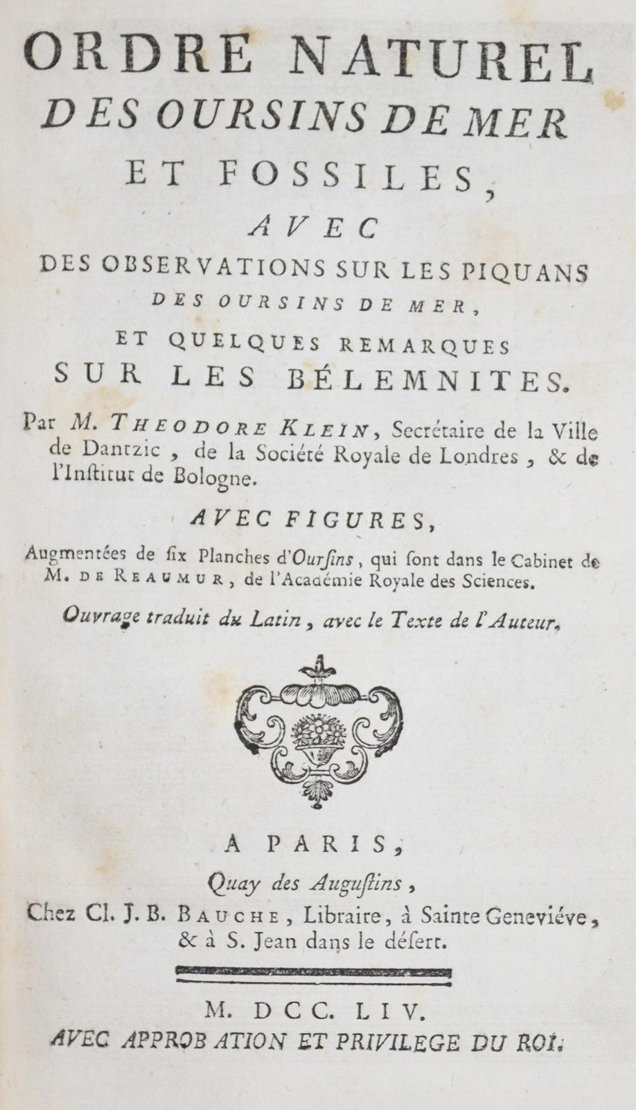 Klein,T. | Bild Nr.1