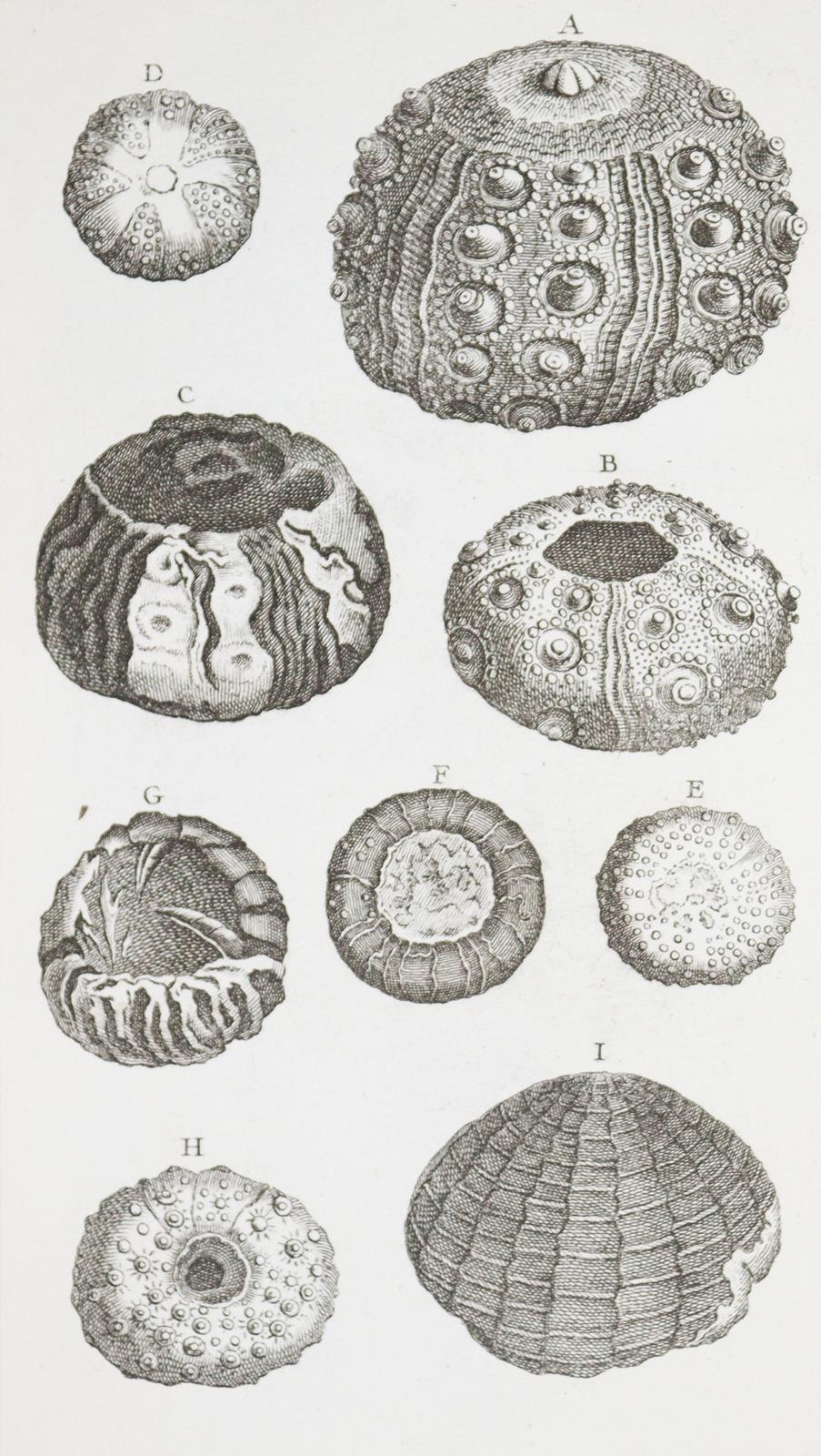 Klein,T. | Bild Nr.3