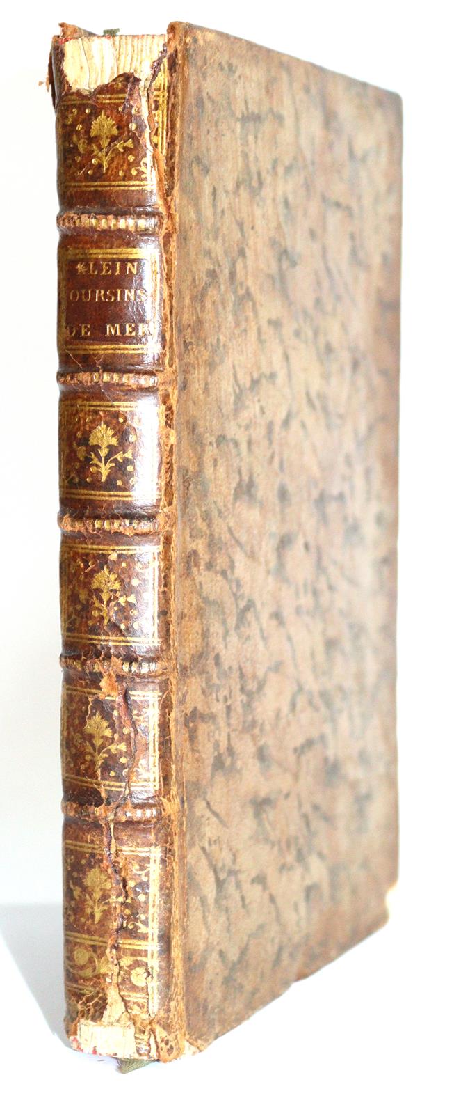 Klein,T. | Bild Nr.4