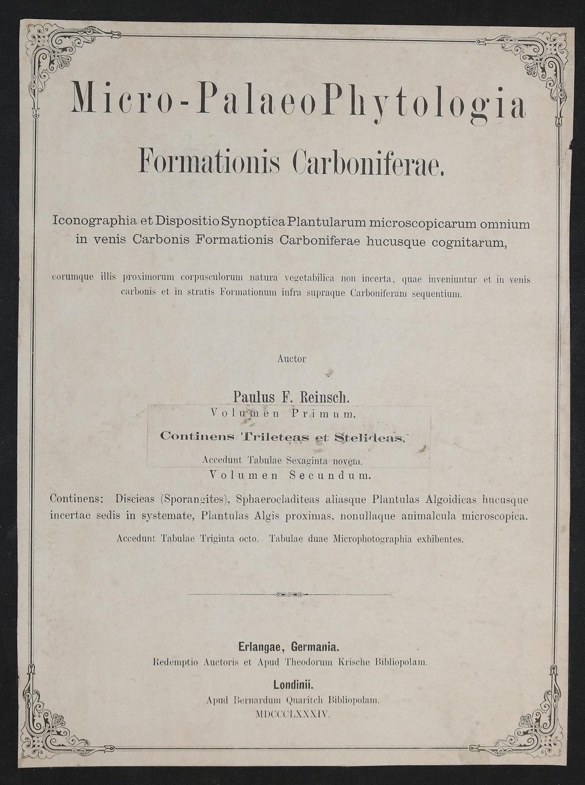 Reinsch,P.F. | Bild Nr.2