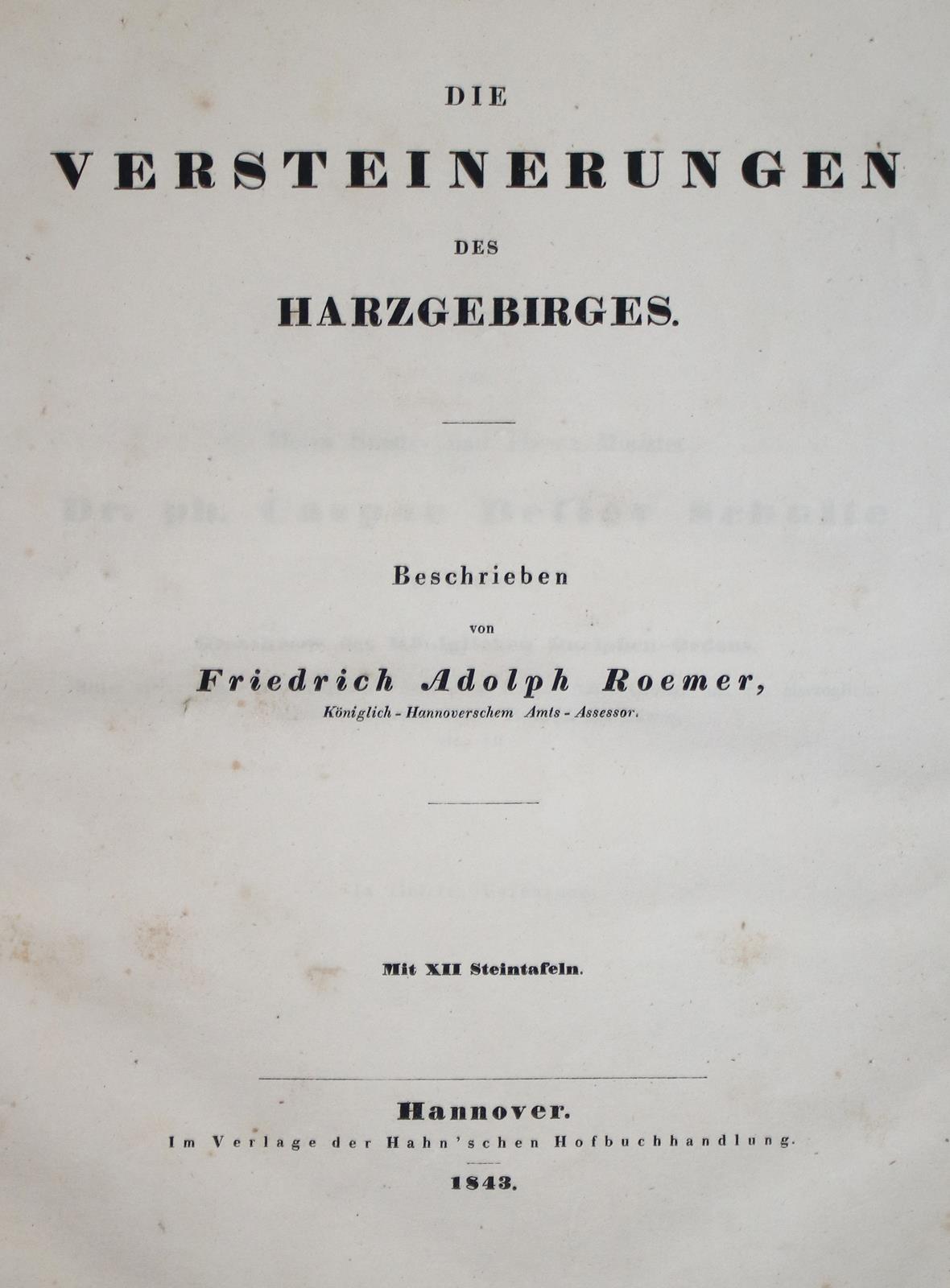 Roemer,F.A. | Bild Nr.2