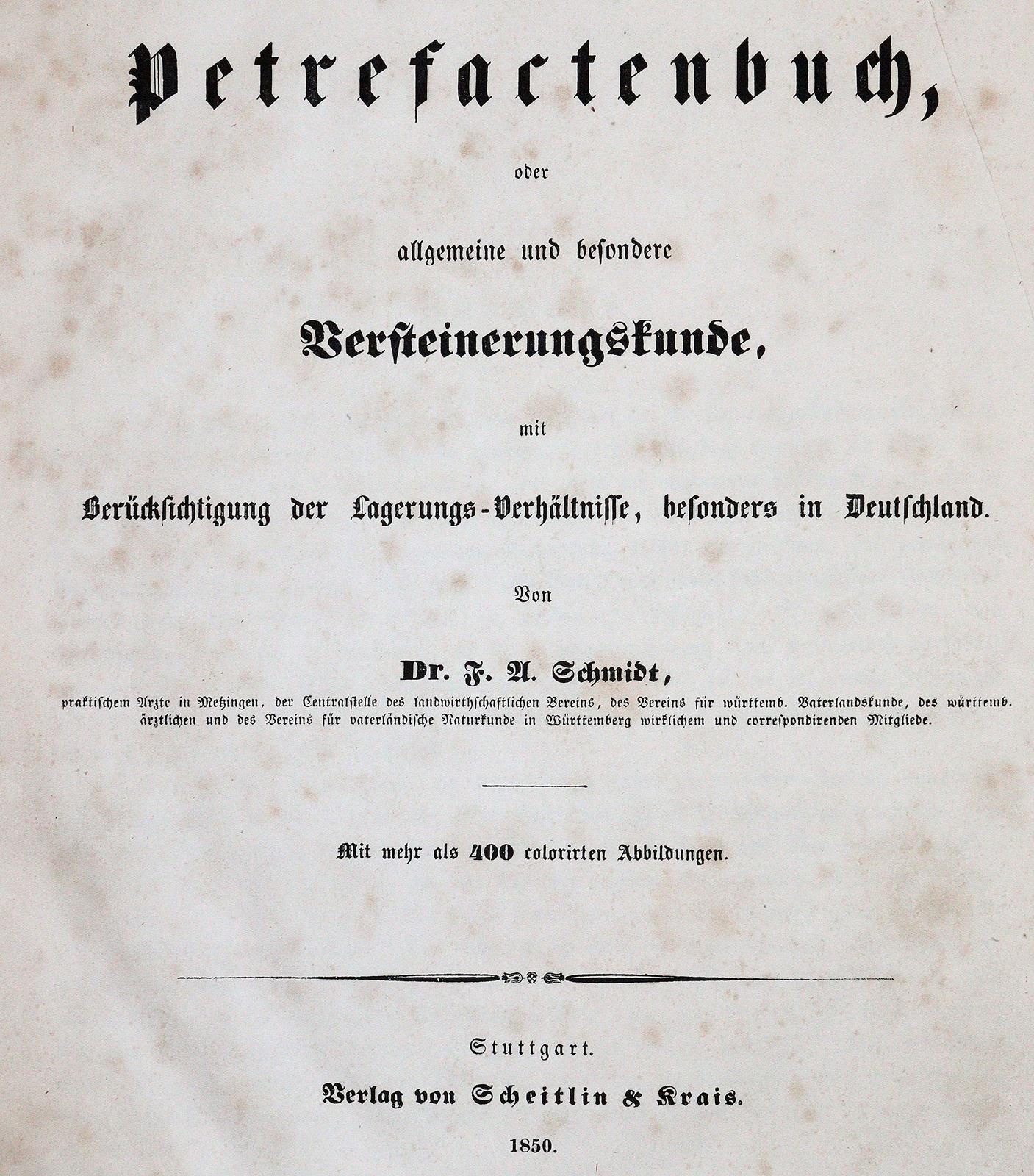 Schmidt,F.A. | Bild Nr.1