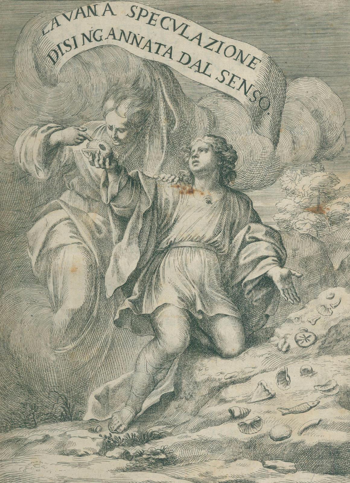 Scilla,A. | Bild Nr.1