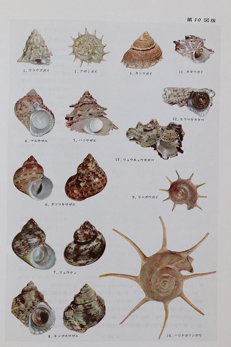 Hoikusha Illustrated Natural History | Bild Nr.2